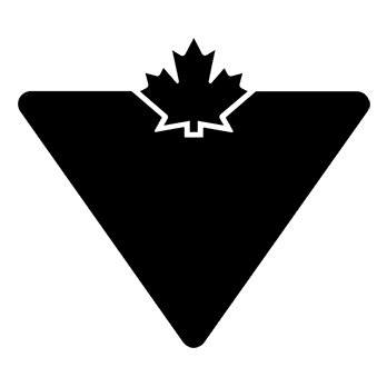 Logo Canadian Tire